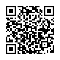 To view this 2010 Ford F-150 XLT Channahon IL from Crase Auto Connection, please scan this QR code with your smartphone or tablet to view the mobile version of this page.