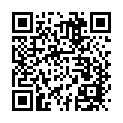 To view this 2012 Isuzu NPR Channahon IL from Crase Auto Connection, please scan this QR code with your smartphone or tablet to view the mobile version of this page.