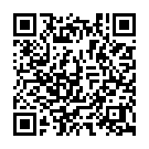To view this 2007 Chevrolet Express Work Van Cutaway Channahon IL from Crase Auto Connection, please scan this QR code with your smartphone or tablet to view the mobile version of this page.