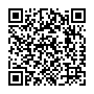 To view this 2015 Chevrolet City Express Cargo LT Channahon IL from Crase Auto Connection, please scan this QR code with your smartphone or tablet to view the mobile version of this page.