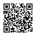 To view this 2010 Ford Mustang GT Channahon IL from Crase Auto Connection, please scan this QR code with your smartphone or tablet to view the mobile version of this page.