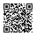 To view this 2016 Ford Transit Connect XL Channahon IL from Crase Auto Connection, please scan this QR code with your smartphone or tablet to view the mobile version of this page.