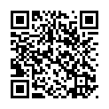 To view this 2011 Honda CR-V EX-L Channahon IL from Crase Auto Connection, please scan this QR code with your smartphone or tablet to view the mobile version of this page.