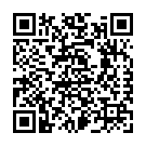 To view this 2011 Chevrolet Express LT Passenger Channahon IL from Crase Auto Connection, please scan this QR code with your smartphone or tablet to view the mobile version of this page.