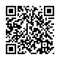 To view this 2023 Hyundai ELANTRA N Channahon IL from Crase Auto Connection, please scan this QR code with your smartphone or tablet to view the mobile version of this page.