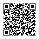 To view this 2014 Ford Transit Connect XL Channahon IL from Crase Auto Connection, please scan this QR code with your smartphone or tablet to view the mobile version of this page.