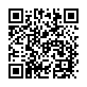To view this 2013 BMW 535i xDrive AWD Channahon IL from Crase Auto Connection, please scan this QR code with your smartphone or tablet to view the mobile version of this page.
