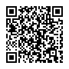 To view this 2017 Chevrolet Express 2500 Channahon IL from Crase Auto Connection, please scan this QR code with your smartphone or tablet to view the mobile version of this page.