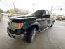 2013 Green Gem Metallic Ford F-150 XLT (1FTFW1EF8DF) with an 5.0 engine, Automatic transmission, located at 25355 Eames Street, Channahon, IL, 60410, (815) 467-1807, 41.429108, -88.228432 - Looking for a reliable and powerful truck? Check out this 2013 Ford F-150 XLT with a robust 5.0 engine that offers both strength and efficiency. With its low mileage of below 90,000 miles, averaging less than 7,000 miles per year, this truck is ready to hit the road for many more adventures. The fa - Photo#7