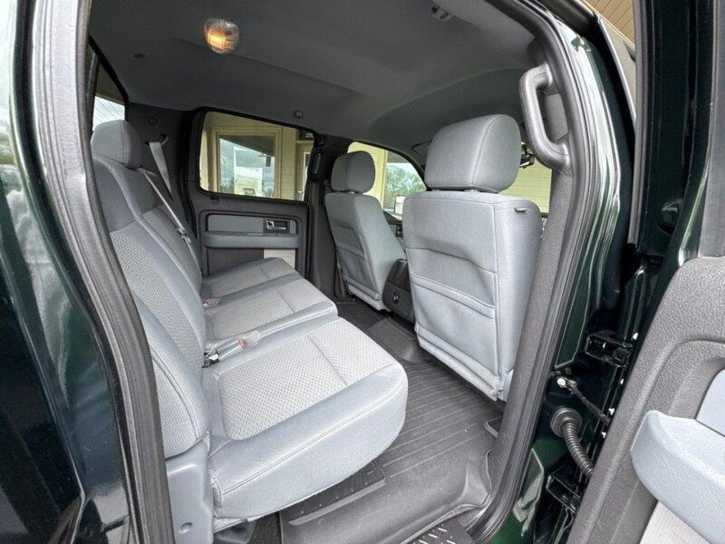 2013 Green Gem Metallic Ford F-150 XLT (1FTFW1EF8DF) with an 5.0 engine, Automatic transmission, located at 25355 Eames Street, Channahon, IL, 60410, (815) 467-1807, 41.429108, -88.228432 - Looking for a reliable and powerful truck? Check out this 2013 Ford F-150 XLT with a robust 5.0 engine that offers both strength and efficiency. With its low mileage of below 90,000 miles, averaging less than 7,000 miles per year, this truck is ready to hit the road for many more adventures. The fa - Photo#15