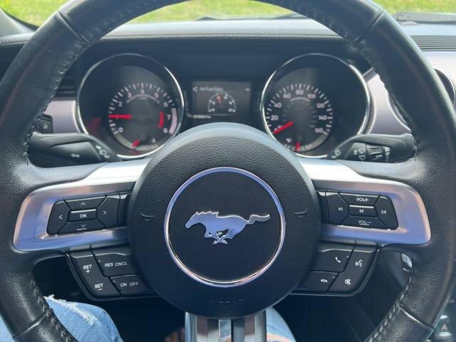 2016 Guard Ford Mustang GT (1FA6P8CF7G5) with an 5.0L V8 435hp 400ft. engine, 6 Speed Manual transmission, located at 25355 Eames Street, Channahon, IL, 60410, (815) 467-1807, 41.429108, -88.228432 - CLEAN LOW MILE LOCAL TRADE! AFTERMARKET LARGE TOUCH SCREEN! APPLE CAR PLAY! BACK UP CAMERA! If you're ready for a different, no hassle and pleasant car buying experience, then give us a chance! We're breaking the standard Car Sales mold and making one of our very own you'll be sure to appreciate! So - Photo #19