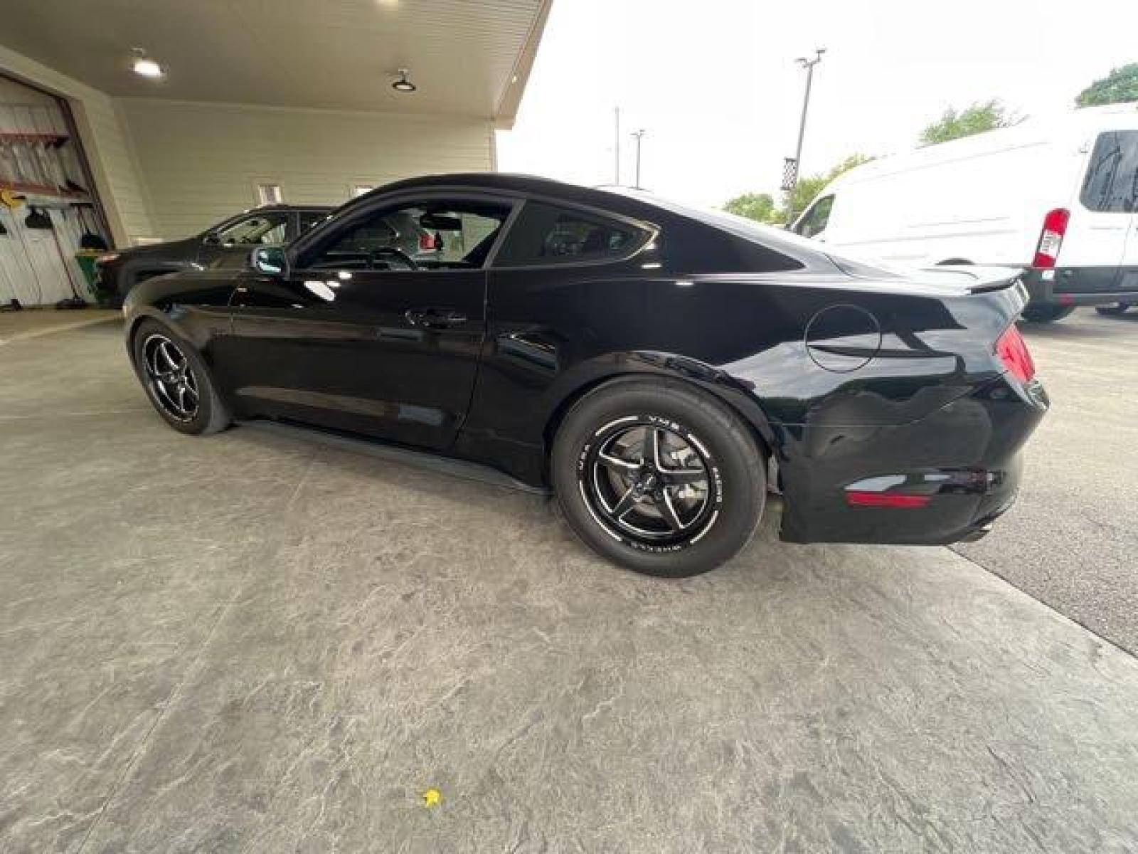2017 Shadow Black Ford Mustang GT (1FA6P8CF8H5) with an 5.0 engine, 6 Speed Manual transmission, located at 25355 Eames Street, Channahon, IL, 60410, (815) 467-1807, 41.429108, -88.228432 - CLENA LOW MILE LOCAL TRADE! BACK UP CAMERA! 5.0 V8! If you're ready for a different, no hassle and pleasant car buying experience, then give us a chance! We're breaking the standard Car Sales mold and making one of our very own you'll be sure to appreciate! So, why buy from Crase Auto Connection? He - Photo #6