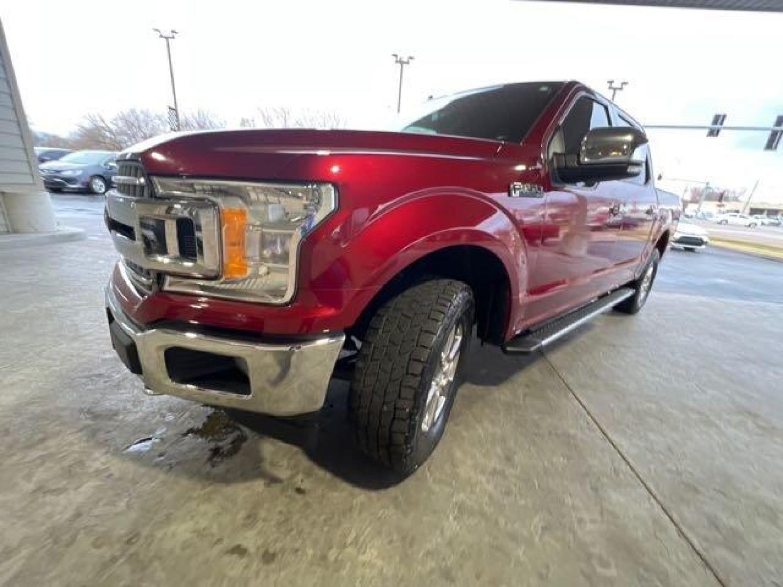 2019 Ruby Red Metallic Tinted Clearcoat Ford F-150 XLT (1FTEW1E52KK) with an 5.0L Flex Fuel V8 395hp 400ft. lbs. engine, Automatic transmission, located at 25355 Eames Street, Channahon, IL, 60410, (815) 467-1807, 41.429108, -88.228432 - CLEAN LOCAL TRUCK! COMING SOON, CALL TODAY TO BE FIRST ON THE LIST WHEN IT IS READY FOR IT'S NEW HOME! If you're ready for a different, no hassle and pleasant car buying experience, then give us a chance! We're breaking the standard Car Sales mold and making one of our very own you'll be sure to app - Photo #5