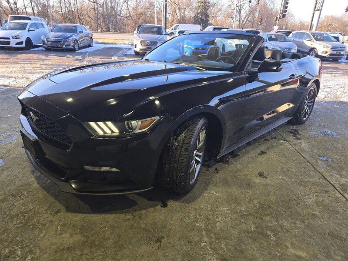 2015 Black Ford Mustang EcoBoost Premium (1FATP8UH1F5) with an EcoBoost 2.3L Turbo I4 310hp 320ft. lbs. engine, Automatic transmission, located at 25355 Eames Street, Channahon, IL, 60410, (815) 467-1807, 41.429108, -88.228432 - Photo#9