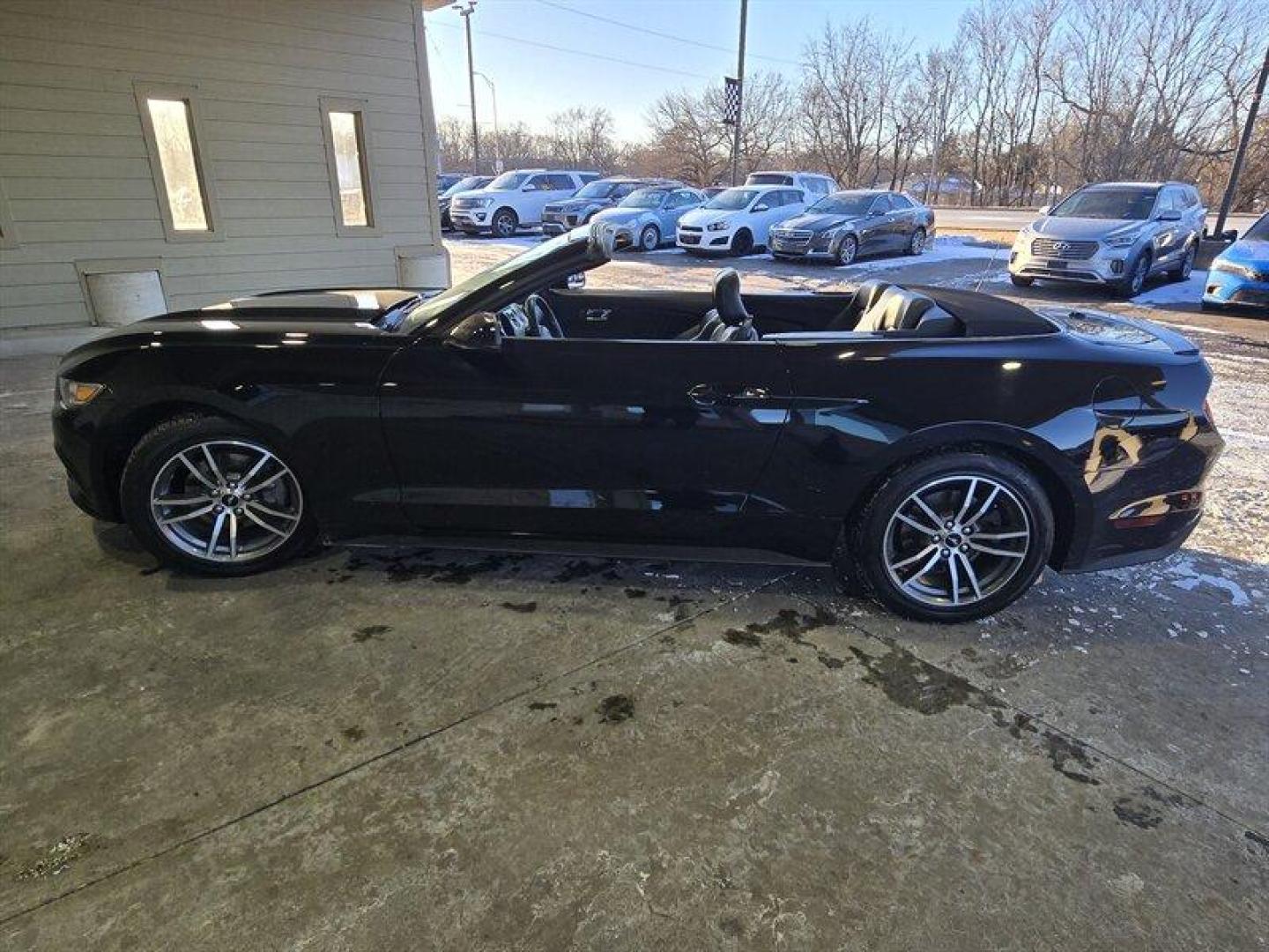 2015 Black Ford Mustang EcoBoost Premium (1FATP8UH1F5) with an EcoBoost 2.3L Turbo I4 310hp 320ft. lbs. engine, Automatic transmission, located at 25355 Eames Street, Channahon, IL, 60410, (815) 467-1807, 41.429108, -88.228432 - Photo#8