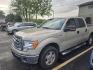 2010 Pueblo Gold Metallic Ford F-150 XLT (1FTEW1C87AF) with an 4.6L 3V V8 292hp 320ft. lbs. engine, Automatic transmission, located at 25355 Eames Street, Channahon, IL, 60410, (815) 467-1807, 41.429108, -88.228432 - Photo#0