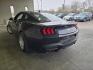 2024 Carbonized Gray Ford Mustang EcoBoost (1FA6P8TH7R5) with an EcoBoost 2.3L Turbo I4 315hp 350ft. lbs. engine, 10-Speed Shiftable A transmission, located at 25355 Eames Street, Channahon, IL, 60410, (815) 467-1807, 41.429108, -88.228432 - Photo#7