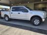 2017 Ingot Silver Ford F-150 XLT (1FTEW1CF8HK) with an 5.0L Flex Fuel V8 385hp 387ft. lbs. engine, Automatic transmission, located at 25355 Eames Street, Channahon, IL, 60410, (815) 467-1807, 41.429108, -88.228432 - Introducing the majestic 2017 Ford F-150 XLT, a true titan on the road with its commanding presence and unparalleled performance. Beneath the hood lies a mighty 5.0L Flex Fuel V8 engine, delivering an impressive 385 horsepower and 387 ft. lbs. of torque, ensuring that every drive is a thrilling expe - Photo#1