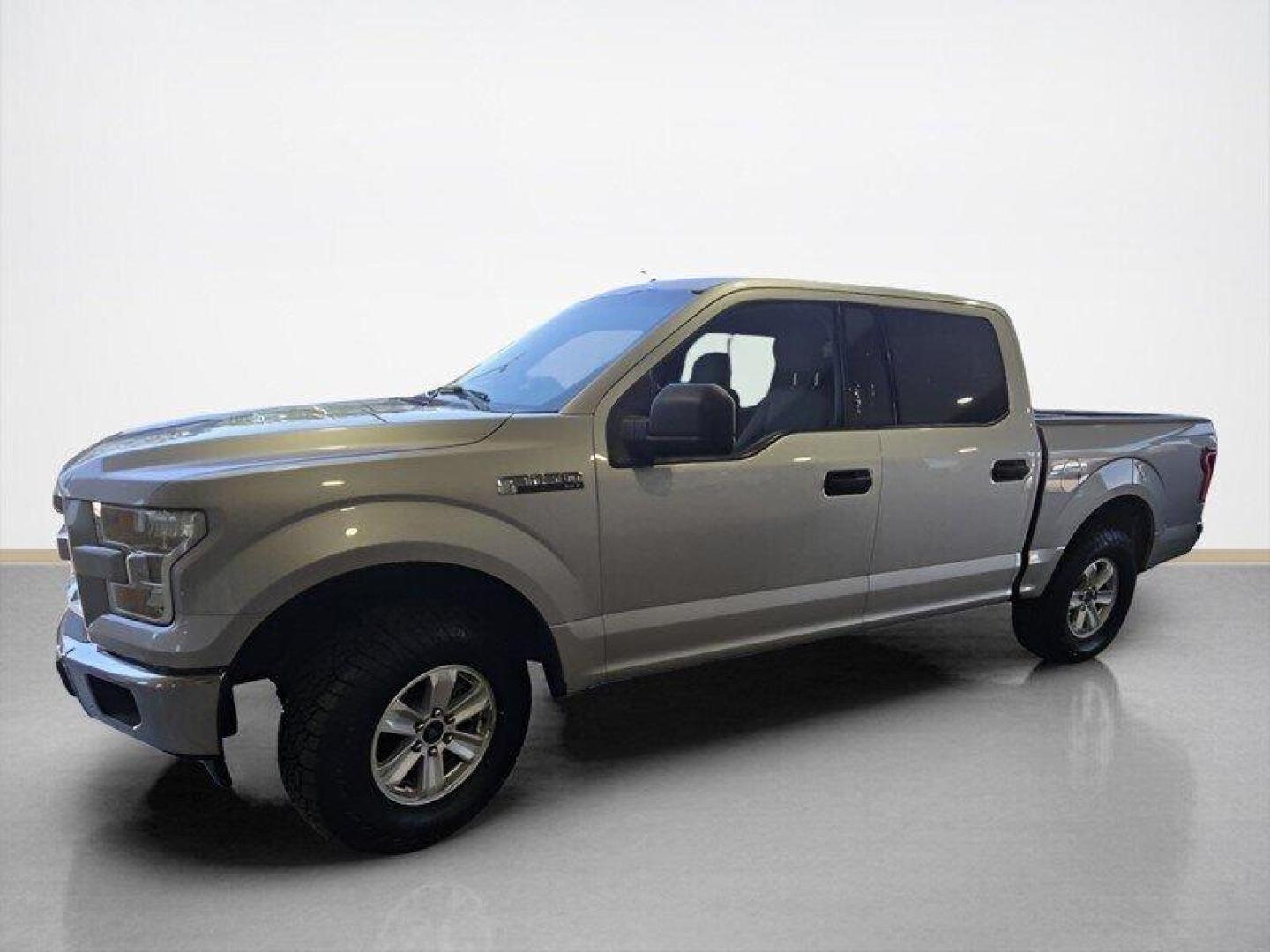 2017 Ingot Silver Ford F-150 XLT (1FTEW1CF8HK) with an 5.0L Flex Fuel V8 385hp 387ft. lbs. engine, Automatic transmission, located at 25355 Eames Street, Channahon, IL, 60410, (815) 467-1807, 41.429108, -88.228432 - Photo#5