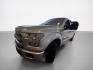 2016 Ingot Silver Metallic Ford F-150 Platinum (1FTFW1EG5GF) with an EcoBoost 3.5L Twin Turbo V6 365hp 420ft. lbs. engine, Automatic transmission, located at 25355 Eames Street, Channahon, IL, 60410, (815) 467-1807, 41.429108, -88.228432 - Picture this: the 2016 Ford F-150 Platinum, a true beast on the road with its EcoBoost 3.5L Twin Turbo V6 engine, packing a punch with 365hp and 420ft. lbs. of torque. This bad boy comes equipped with the FX4 Off-Road Package, ready to tackle any terrain you throw its way. Now, let's talk about the - Photo#6
