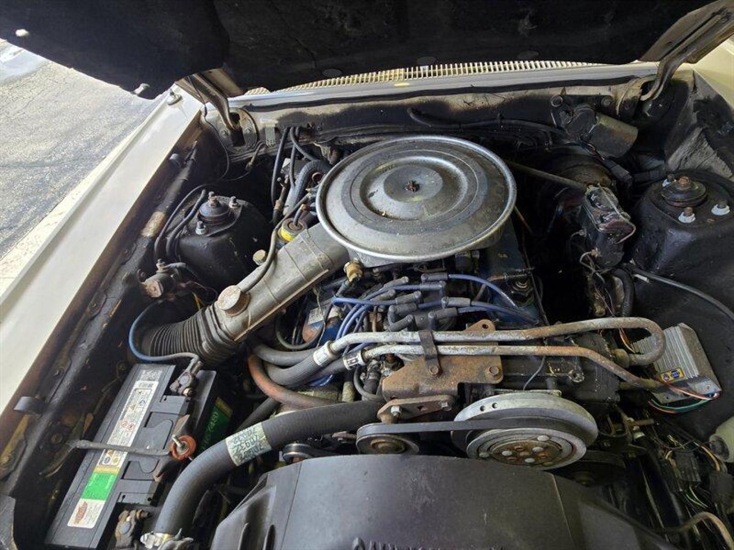 1981 Tan Ford Grenada (1FABP26D3BG) with an 4.2 engine, located at 25355 Eames Street, Channahon, IL, 60410, (815) 467-1807, 41.429108, -88.228432 - Step back in time with this vintage 1981 Ford Grenada! Powered by a trusty 4.2-liter engine, this beauty is a blast from the past with features straight out of the factory. Picture yourself cruising down the road in style with its classic design and retro vibes. Now, let's talk about the factory de - Photo#37