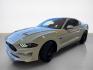2019 Oxford White Ford Mustang GT (1FA6P8CF1K5) with an 5.0L V8 460hp 420ft. lbs. engine, 6 Speed Manual transmission, located at 25355 Eames Street, Channahon, IL, 60410, (815) 467-1807, 41.429108, -88.228432 - Get ready to turn heads in the 2019 Ford Mustang GT, a true powerhouse on wheels! This bad boy is equipped with a ferocious 5.0L V8 engine that roars with 460hp and 420ft. lbs. of torque, giving you the adrenaline-pumping ride you've been craving. Step inside the cockpit and experience luxury with - Photo#7