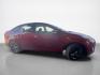 2013 Ruby Red Metallic Tinted Clear Coat Ford Focus SE (1FADP3F24DL) with an 2.0L Flex Fuel I4 160hp 146ft. lbs. engine, Automatic transmission, located at 25355 Eames Street, Channahon, IL, 60410, (815) 467-1807, 41.429108, -88.228432 - Introducing the vibrant and efficient 2013 Ford Focus SE in stunning Ruby Red Metallic Tinted Clear Coat! This compact beauty is powered by a zippy 2.0L Flex Fuel I4 engine, delivering a peppy 160hp and 146ft. lbs. of torque for a thrilling driving experience. Step inside the Charcoal Black interi - Photo#1