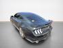 2015 Guard Ford Mustang GT Premium (1FA6P8CF2F5) with an 5.0L V8 435hp 400ft. lbs. engine, 6 Speed Manual transmission, located at 25355 Eames Street, Channahon, IL, 60410, (815) 467-1807, 41.429108, -88.228432 - ** LOCAL TRADE IN, WHOLESALE AS-IS SPECIAL, NEEDS TIRES, BRAKES, FRONT STRUTS. ** Unleash the beast with this 2015 Ford Mustang GT! Equipped with a roaring 5.0L V8 engine delivering a jaw-dropping 435hp and 400 ft. lbs. of torque, this pony car means business. Dominate the road with the GT Performan - Photo#5