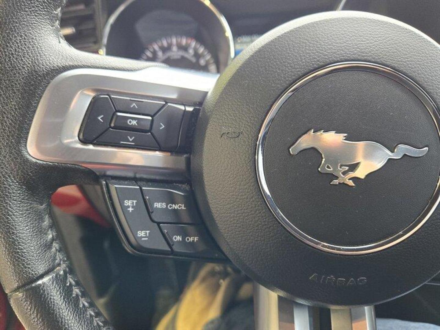 2016 Ruby Red Metallic Tinted Clearcoat Ford Mustang GT Premium (1FA6P8CF7G5) with an 5.0L V8 435hp 400ft. lbs. engine, 6 Speed Manual transmission, located at 25355 Eames Street, Channahon, IL, 60410, (815) 467-1807, 41.429108, -88.228432 - Get ready to unleash your inner speed demon with this 2016 Ford Mustang GT Premium, because this beauty isnt just a car; its a statement on wheels! Drenched in a head-turning Ruby Red Metallic Tinted Clearcoat, this Mustang is practically begging to be admired from every angle. Seriously, if looks c - Photo#14