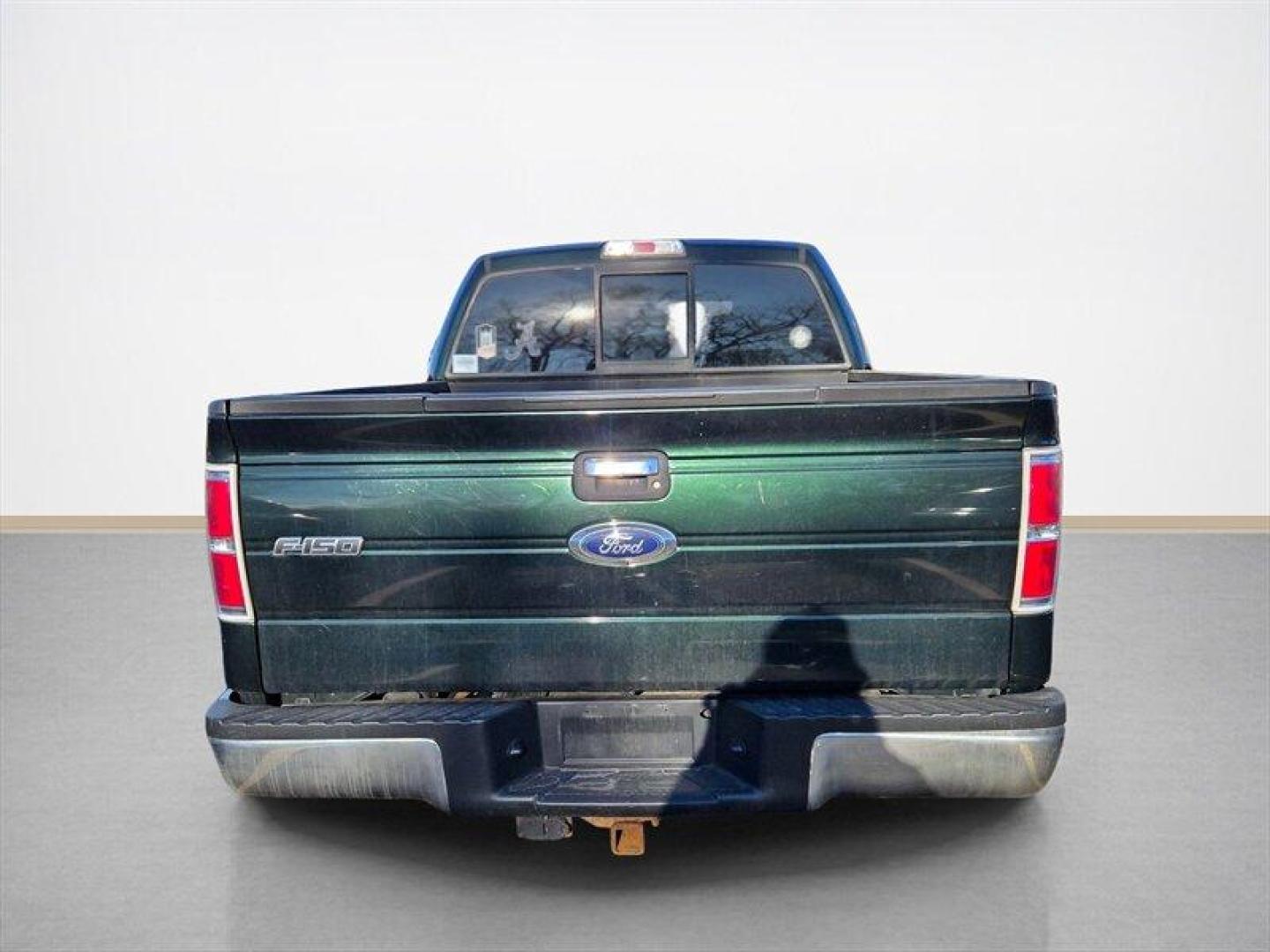 2013 Green Gem Metallic Ford F-150 XLT (1FTFW1EF5DF) with an 5.0L Flex Fuel V8 360hp 380ft. lbs. engine, Automatic transmission, located at 25355 Eames Street, Channahon, IL, 60410, (815) 467-1807, 41.429108, -88.228432 - This 2013 Ford F-150 Crew Cab 4x4 with the 5.0L V8 is a local trade being offered at a true wholesale price and is being sold AS IS / AS SHOWN. This truck is priced accordingly and is intended for a buyer who understands what an AS-IS wholesale vehicle means. The 5.0L V8 is known for strong perform - Photo#4