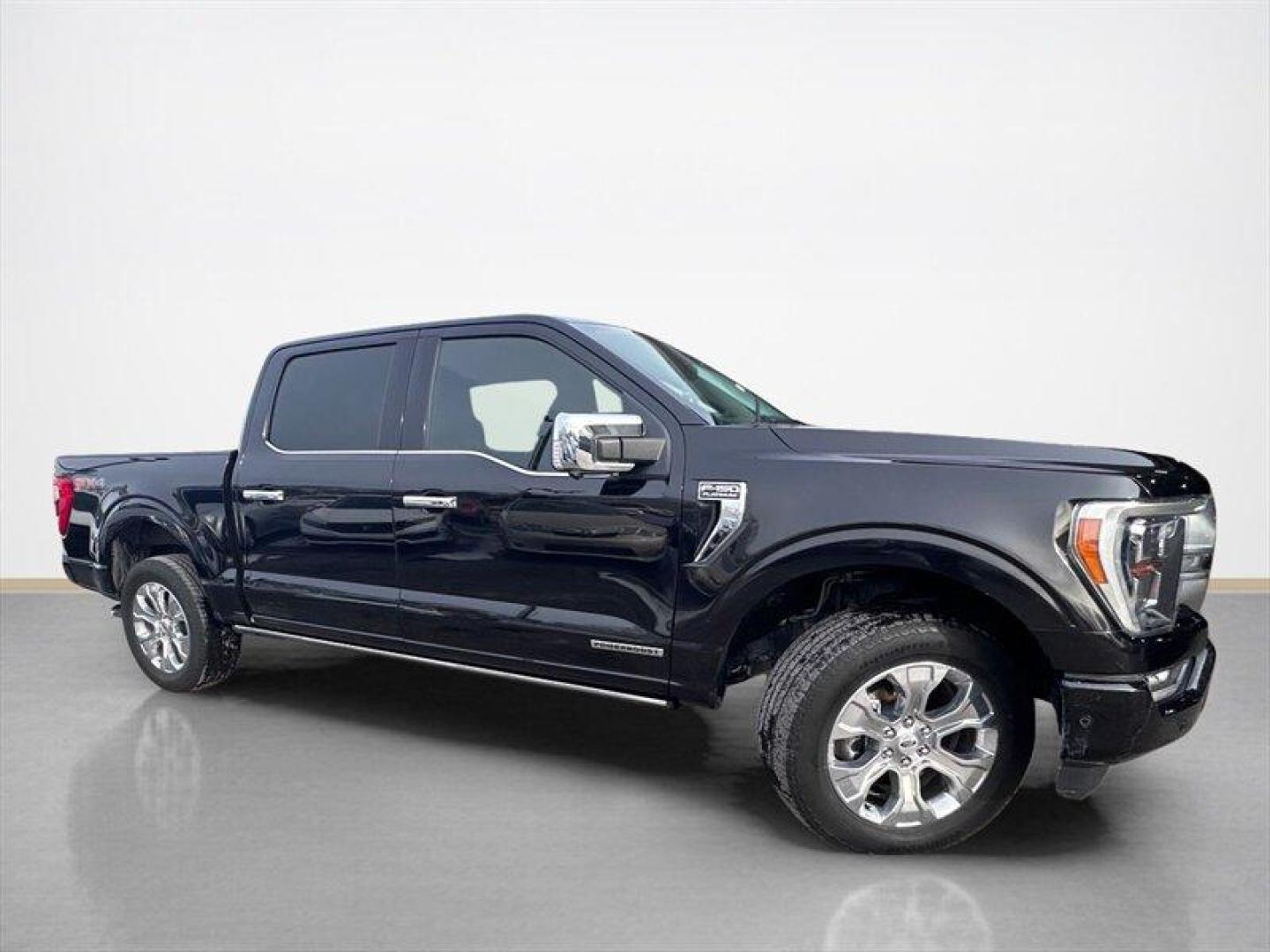 2023 Agate Black Ford F-150 Platinum (1FTFW1ED2PF) with an PowerBoost 3.5L Hybrid Twin Turbo V6 420hp 570ft. engine, Automatic transmission, located at 25355 Eames Street, Channahon, IL, 60410, (815) 467-1807, 41.429108, -88.228432 - Photo#1