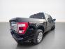 2023 Agate Black Ford F-150 Platinum (1FTFW1ED2PF) with an PowerBoost 3.5L Hybrid Twin Turbo V6 420hp 570ft. engine, Automatic transmission, located at 25355 Eames Street, Channahon, IL, 60410, (815) 467-1807, 41.429108, -88.228432 - Photo#3