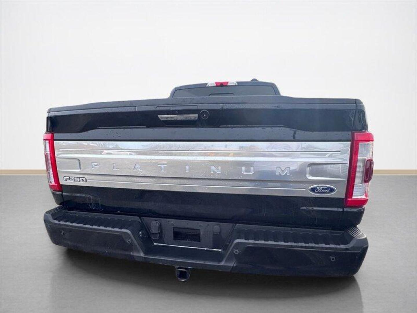 2023 Agate Black Ford F-150 Platinum (1FTFW1ED2PF) with an PowerBoost 3.5L Hybrid Twin Turbo V6 420hp 570ft. engine, Automatic transmission, located at 25355 Eames Street, Channahon, IL, 60410, (815) 467-1807, 41.429108, -88.228432 - Photo#4