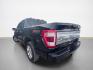 2023 Agate Black Ford F-150 Platinum (1FTFW1ED2PF) with an PowerBoost 3.5L Hybrid Twin Turbo V6 420hp 570ft. engine, Automatic transmission, located at 25355 Eames Street, Channahon, IL, 60410, (815) 467-1807, 41.429108, -88.228432 - Photo#5