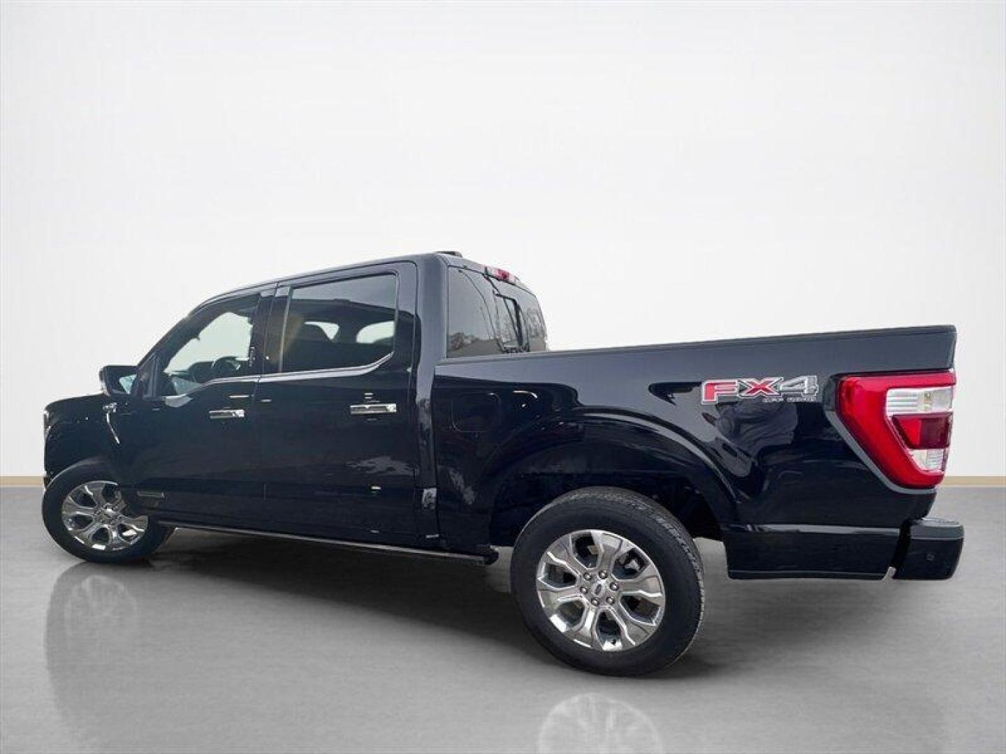 2023 Agate Black Ford F-150 Platinum (1FTFW1ED2PF) with an PowerBoost 3.5L Hybrid Twin Turbo V6 420hp 570ft. engine, Automatic transmission, located at 25355 Eames Street, Channahon, IL, 60410, (815) 467-1807, 41.429108, -88.228432 - Photo#6