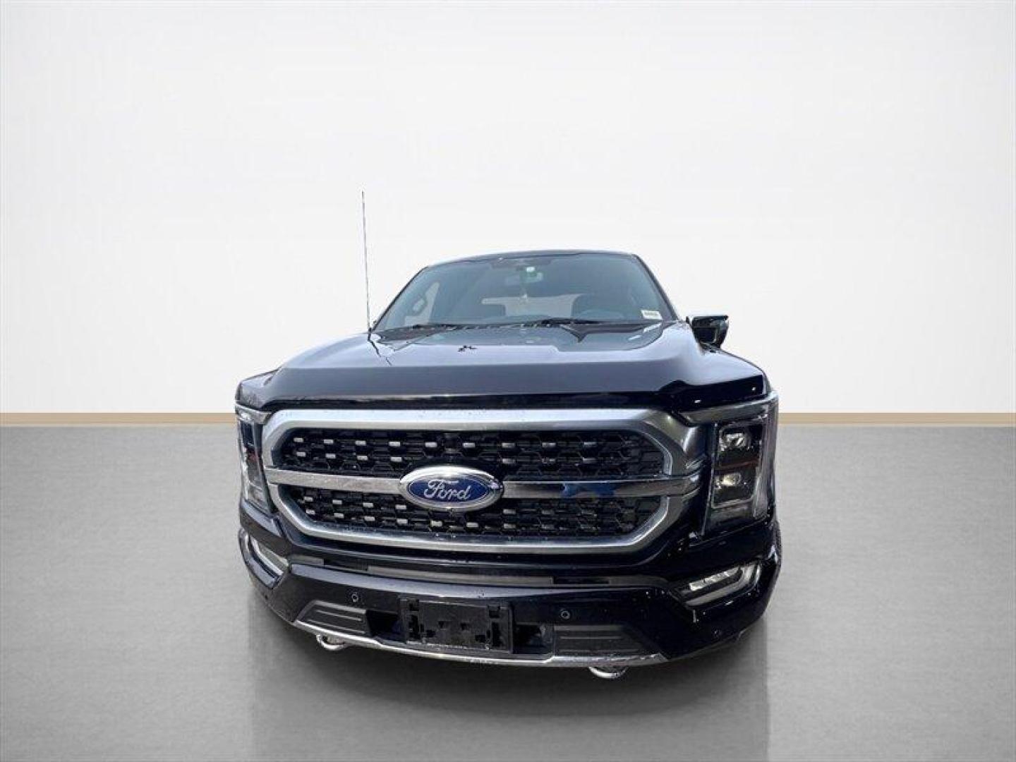 2023 Agate Black Ford F-150 Platinum (1FTFW1ED2PF) with an PowerBoost 3.5L Hybrid Twin Turbo V6 420hp 570ft. engine, Automatic transmission, located at 25355 Eames Street, Channahon, IL, 60410, (815) 467-1807, 41.429108, -88.228432 - Photo#8