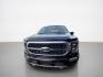 2023 Agate Black Ford F-150 Platinum (1FTFW1ED2PF) with an PowerBoost 3.5L Hybrid Twin Turbo V6 420hp 570ft. engine, Automatic transmission, located at 25355 Eames Street, Channahon, IL, 60410, (815) 467-1807, 41.429108, -88.228432 - Photo#8