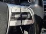 2020 Everlasting Silver Kia Telluride SX (5XYP5DHC7LG) with an 3.8L V6 291hp 262ft. lbs. engine, Automatic transmission, located at 25355 Eames Street, Channahon, IL, 60410, (815) 467-1807, 41.429108, -88.228432 - BIG SUV ENERGY. ZERO DEALER PREP FEES. This 2020 Kia Telluride SX AWD is serving luxury without the luxury price tag. Gravity Gray with Black Rims Heated and Cooled Leather Seats Navigation Bucket Seats Backup Camera Panoramic Sunroof AWD Confidence And here's the best part... FULLY SERVICED - Photo#24