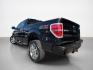 2014 Tuxedo Black Metallic Ford F-150 STX (1FTEX1EM3EF) with an 3.7L Flex Fuel V6 302hp 278ft. lbs. engine, Automatic transmission, located at 25355 Eames Street, Channahon, IL, 60410, (815) 467-1807, 41.429108, -88.228432 - Ready to turn heads and haul with serious style? Feast your eyes on this 2014 Ford F-150 STX in the sleek and sophisticated Tuxedo Black Metallicbecause black isnt just a color, its an attitude. Under the hood, this beast runs on a 3.7L Flex Fuel V6, pumping out a juicy 302 horsepower and 278 ft-lbs - Photo#5