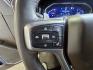 2023 Northsky Blue Metallic Chevrolet Silverado 1500 LT Trail Boss (3GCUDFED7PG) with an EcoTec3 5.3L V8 355hp 383ft. lbs. engine, Automatic transmission, located at 25355 Eames Street, Channahon, IL, 60410, (815) 467-1807, 41.429108, -88.228432 - The 2023 Chevrolet Silverado 1500 LT Trail Boss is a versatile and capable full-size pickup truck designed to handle both work and everyday driving with confidence. Powered by a robust EcoTec3 5.3L V8 engine delivering 355 horsepower and 383 lb-ft of torque, this truck offers a balance of performanc- Photo#13